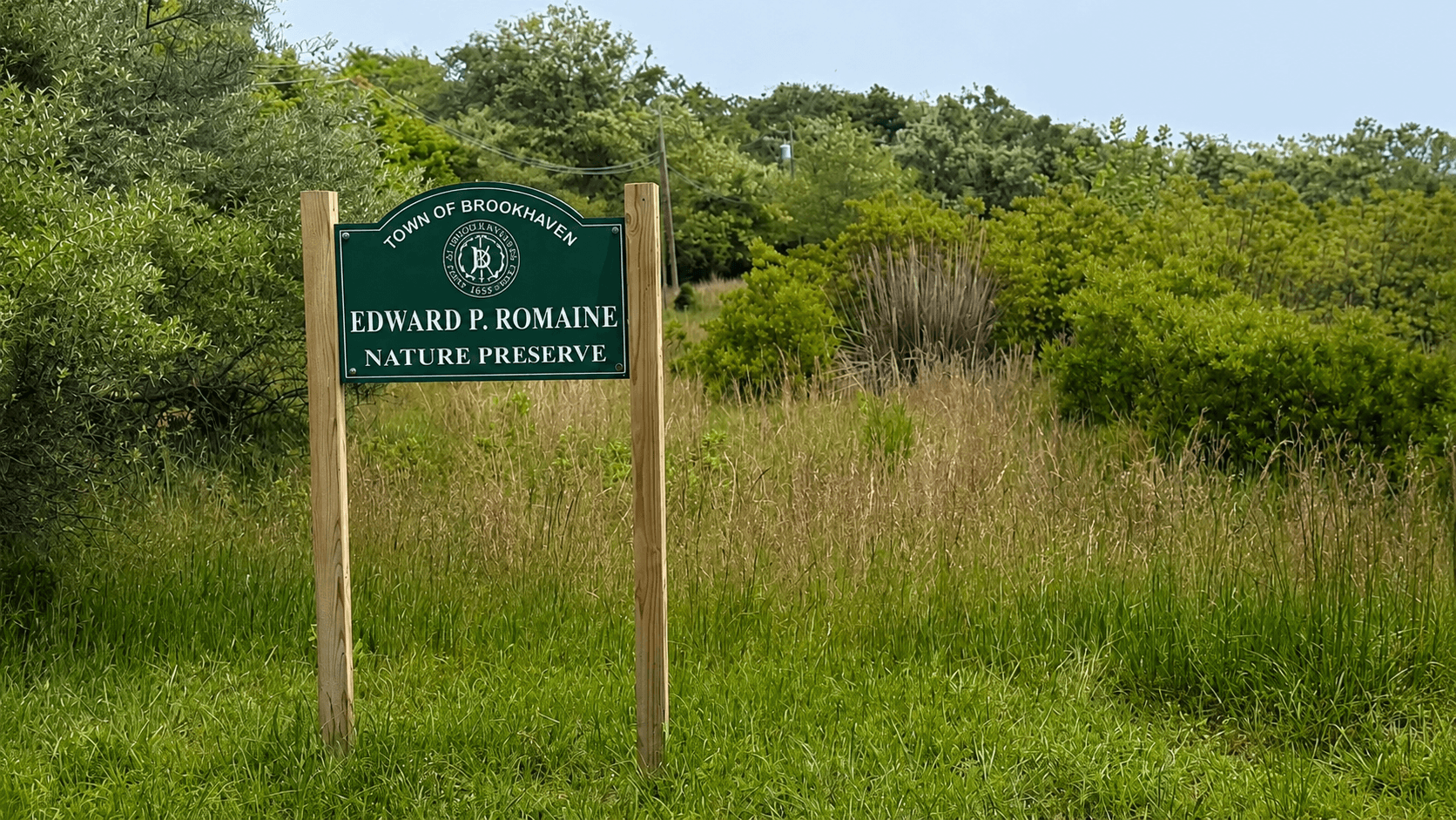 Romaine Details Suffolk Environmental Priorities