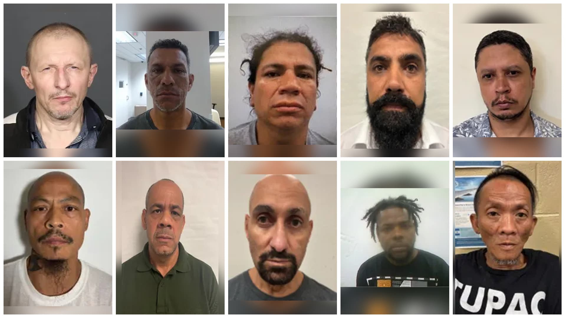 OPERATION ROTTEN APPLE: ICE Nabs 2,197 In NY Sweep